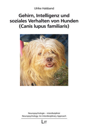 Gehirn, Intelligenz und soziales Verhalten von Hunden (Canis lupus familiaris)