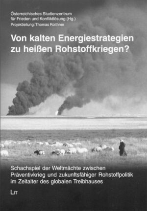 Von kalten Energiestrategien zu heißen Rohstoffkriegen?