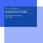 Sozialtsunami